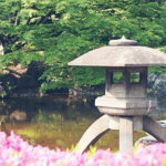 TokyoSafari_019