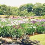 TokyoSafari_023