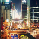 TokyoSafari_038